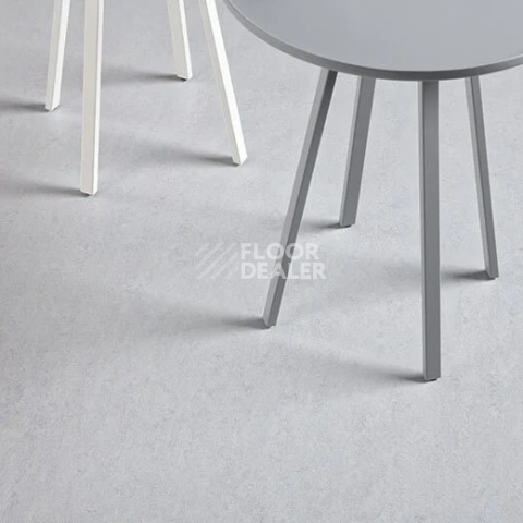 Forbo Marmoleum Decibel 388335 moonstone фото 2 | FLOORDEALER
